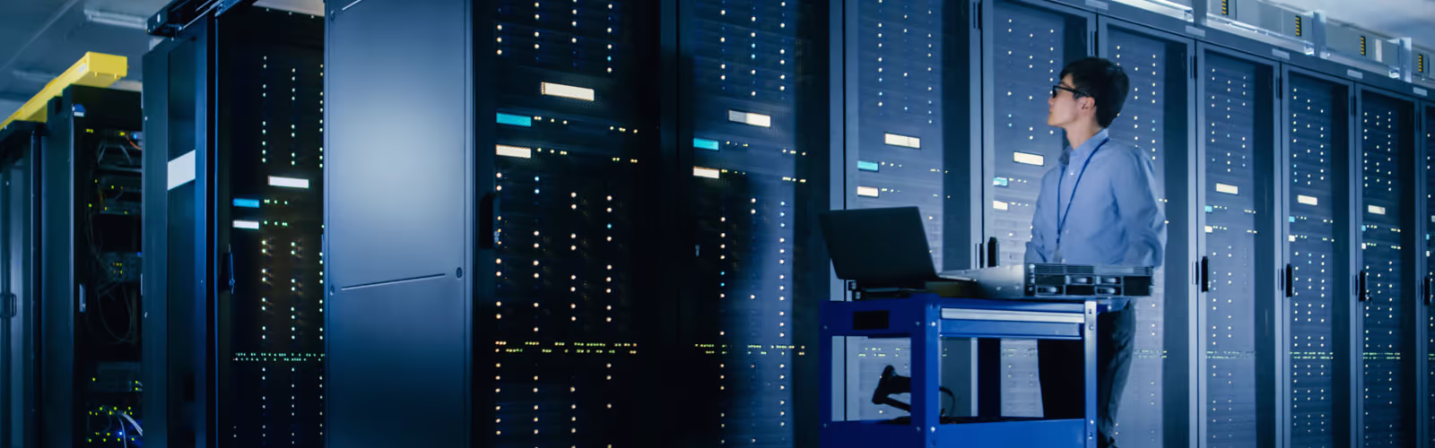 NETWORKING SERVICES