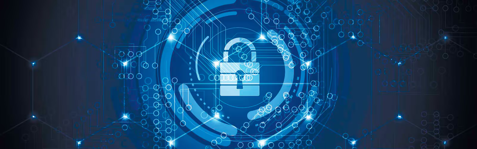 SOFTWARE SECURITY
